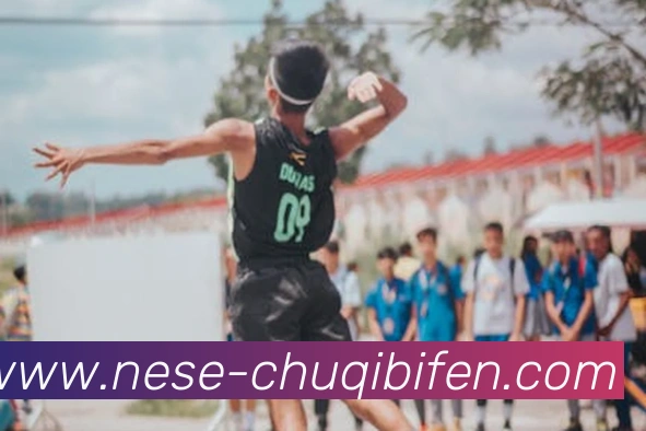 出奇即时比分平台生态图